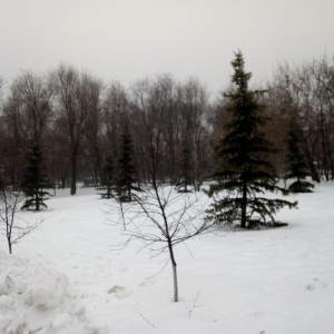 Фото от владельца Воронежские озера, парк