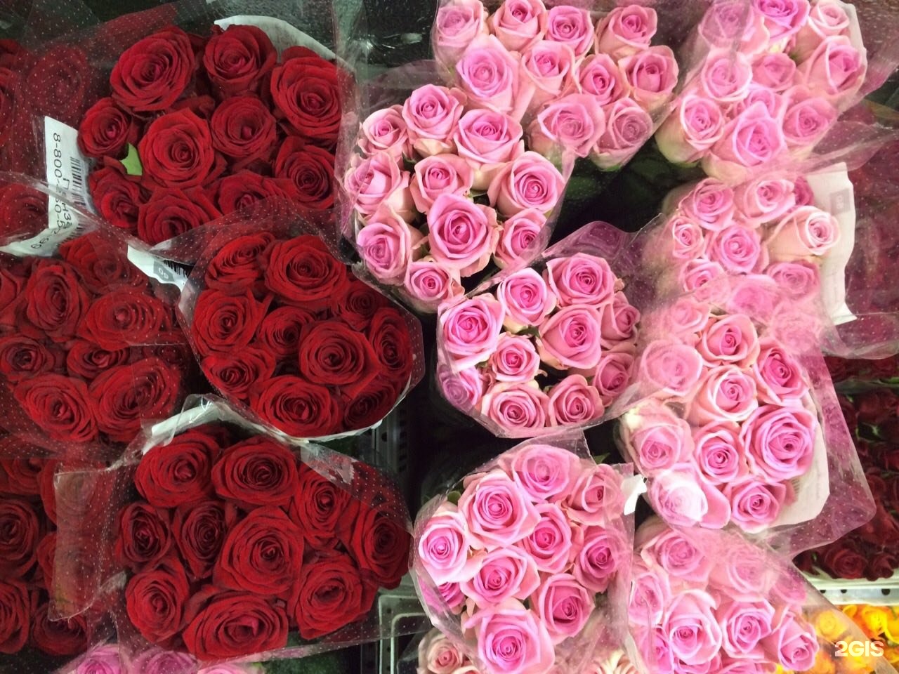 Цветочный магазин нягань. Магазин цветов возле 101 розы Нягань. Дом с розами Нижний Новгород.