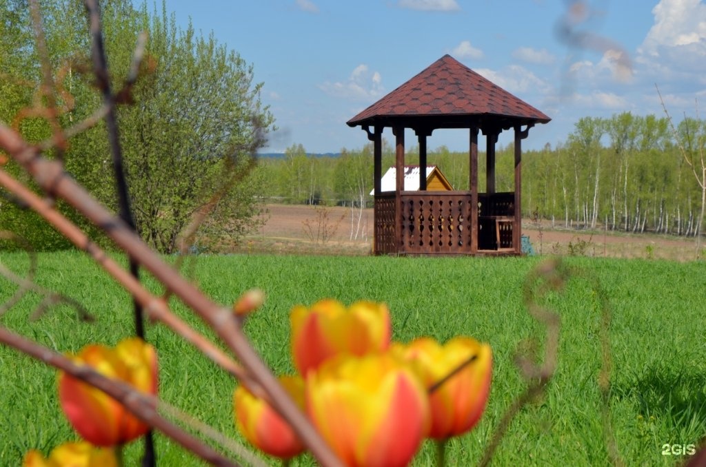 Экстримлэнд фото беседок