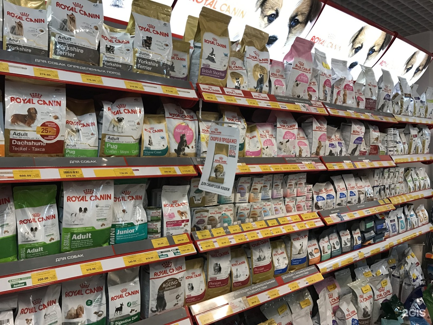 тигренок зоомагазин. улица глеба успенского 7. глеба успенского 7 нижний новгород на карте. зоомагазин тигрёнок. зоомагазин тигрёнок.