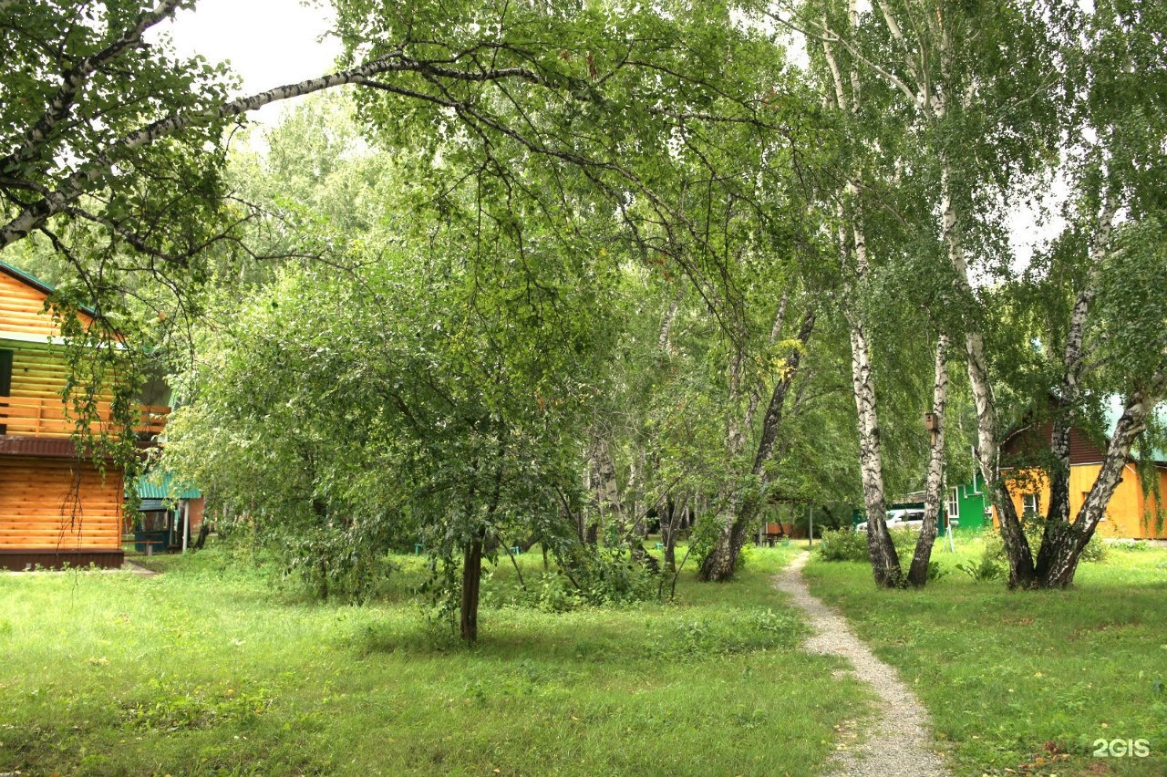 На лугах база отдыха омск. Зотино база отдыха. Прииртышье база отдыха в Омске. Автомобилист Омск база отдыха.