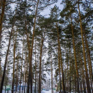 Фото от владельца База отдыха им. А.И. Покрышкина