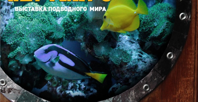 Океанариум наутилус омск