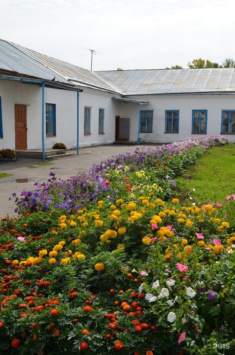 Прогноз погоды в зональном алтайском. Алтайский край село Шубенка. Село Зональное Алтайский край.