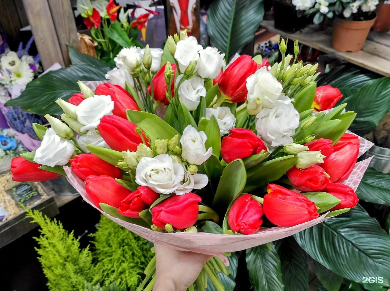 Дом цветов бийск