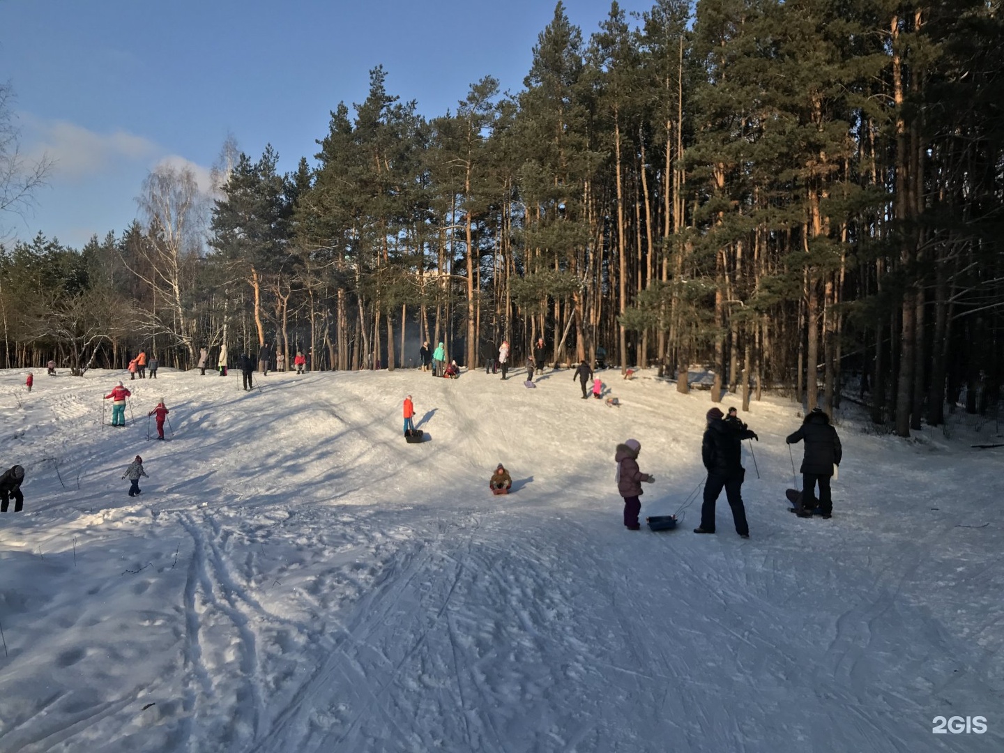 Лес на дубравной казань фото