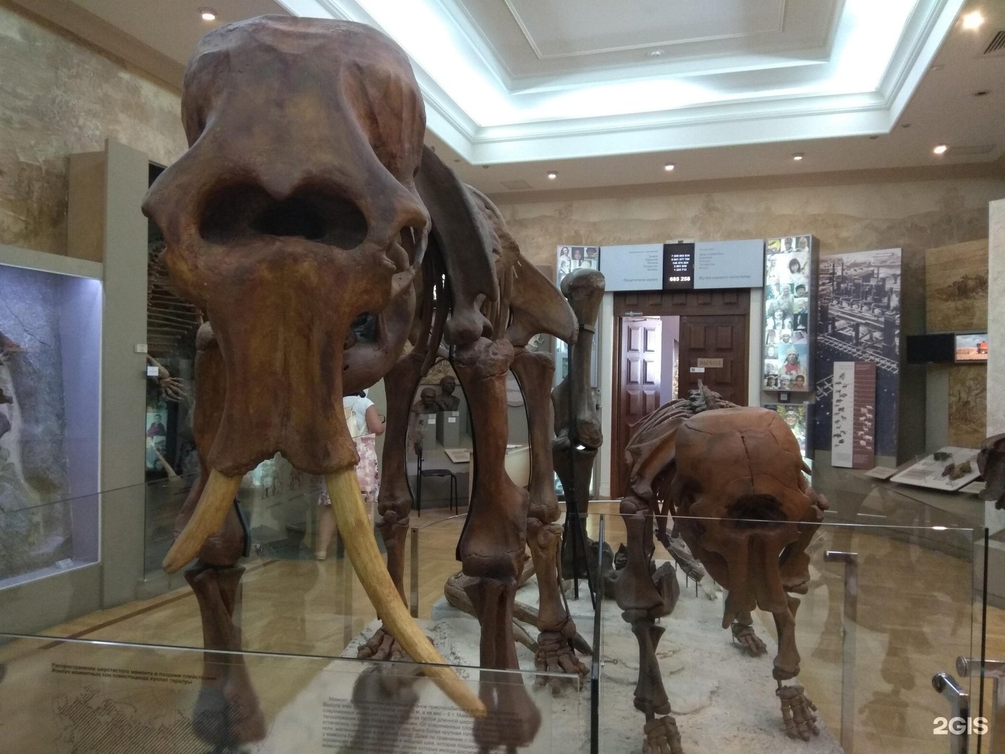 музей естественной истории татарстана казань