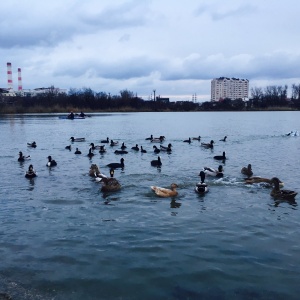 Фото от владельца Солнечный остров, парк культуры и отдыха