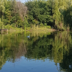 Фото от владельца Каньон, загородный клуб