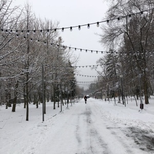 Фото от владельца Парк культуры и отдыха им. Октябрьской революции