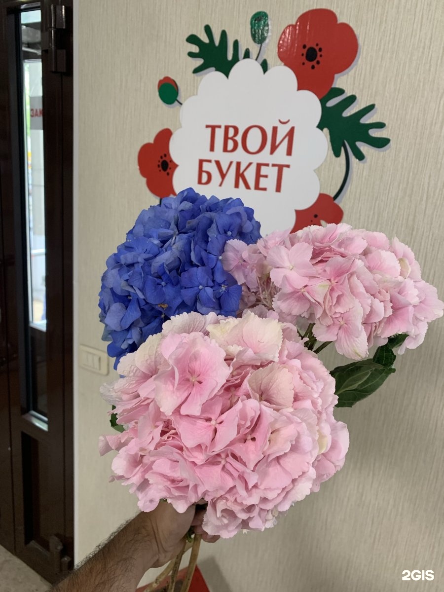 Твой букет. Твой букет Выборг. Твой букет логотип Магнитогорск. Tvoi Buket Тулун Insta stories.