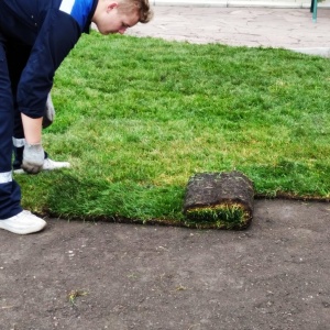 Фото от владельца Дубрава, ООО, студия ландшафтного дизайна