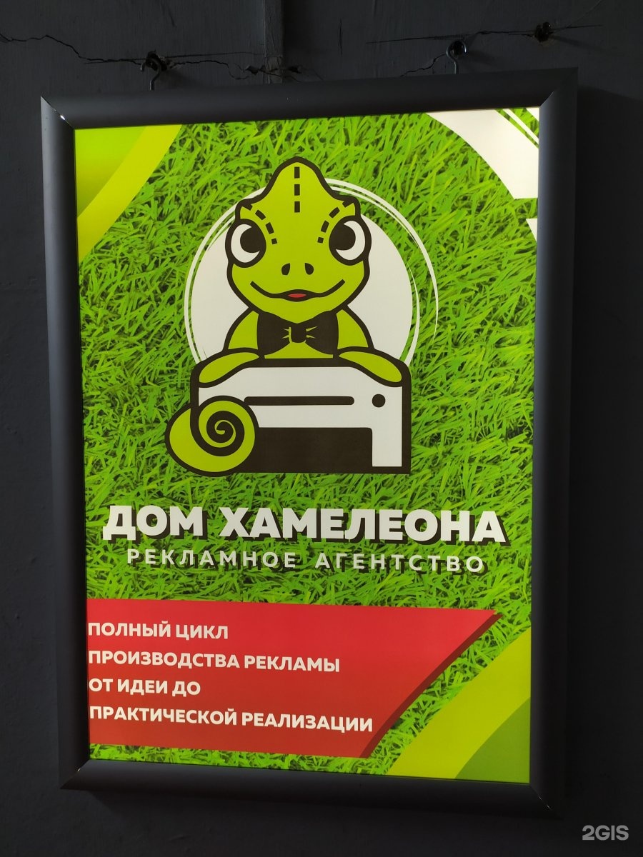 Хамелеон реклама. Рекламное агентство дом хамелеона Горно-Алтайск. Рекламное агентство дом хамелеона. Дом для хамелеона.