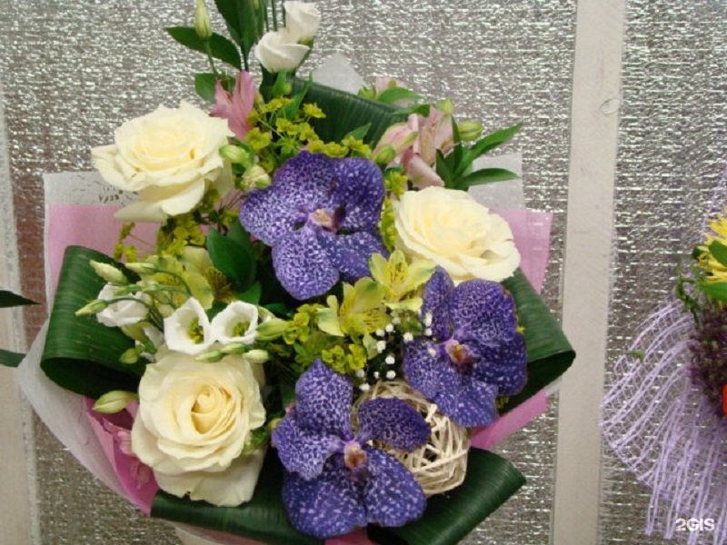 букет невесты череповец цветопт. цветы оптторг. хризантема сладкий персик. купить цветы оптторг. букет невесты череповец цветопт.