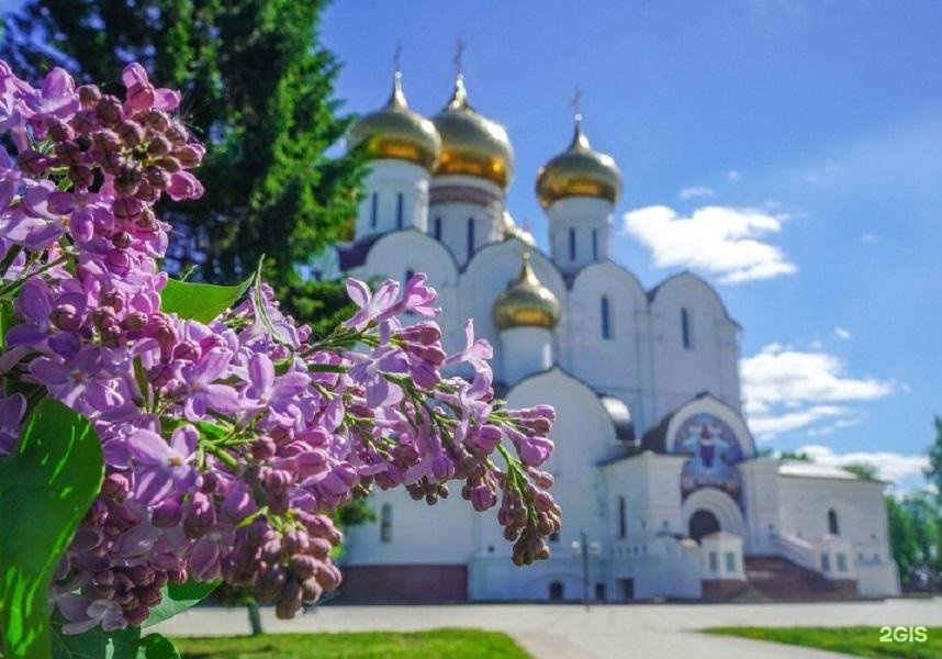 Успенский собор в Смоленске сирень