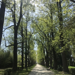 Фото от владельца Южные культуры, парк