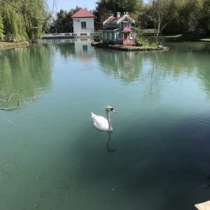 Фото от владельца Южные культуры, парк