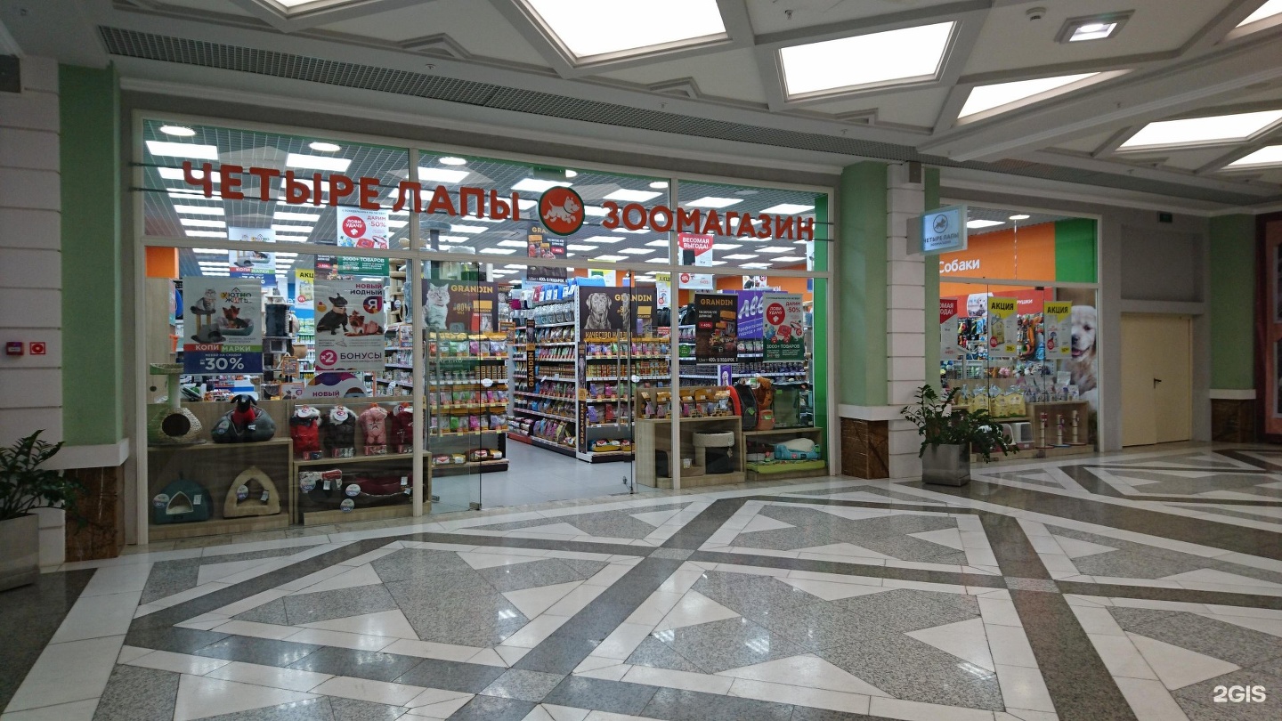 галерея зоомагазин. зоомагазины в кирове. планета zoo саратов. аквариумные стеллажи для зоомагазина. белая акула магазин в ростове.