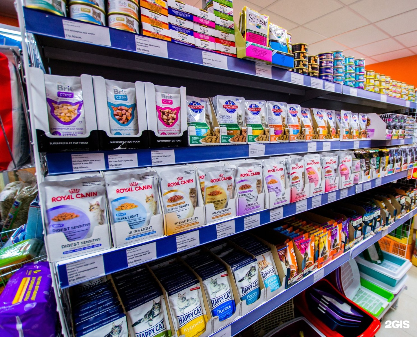 зоомагазин балашиха