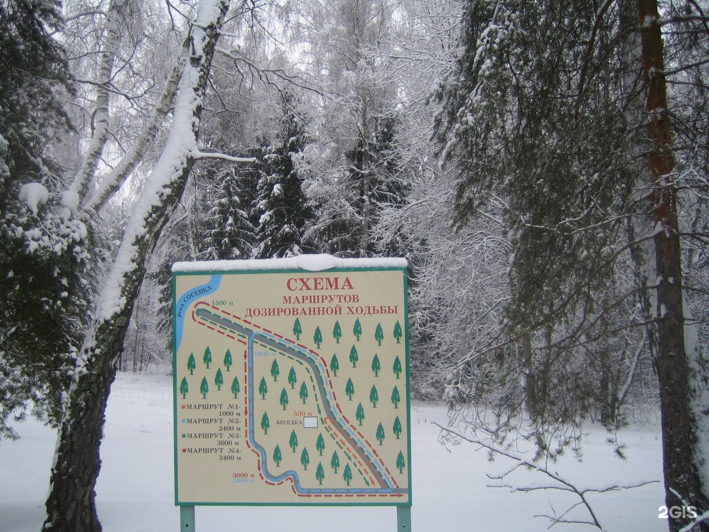 Санаторий Десна. Фото: Отелло.