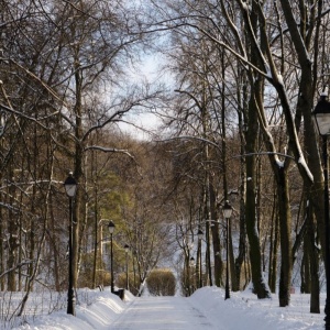 Фото от владельца Царицыно, парк культуры и отдыха