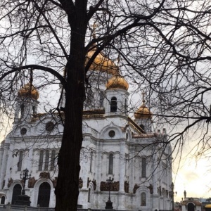 Фото от владельца Храм Христа Спасителя