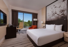 Отель DoubleTree by Hilton Moscow-Vnukovo Airport в Москве