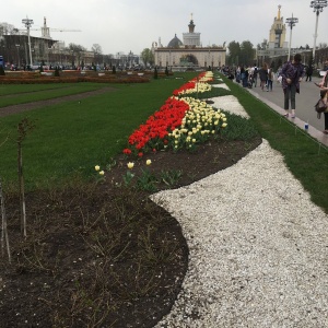 Фото от владельца ВДНХ, ОАО