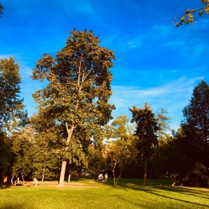 Фото от владельца Гончаровский, парк