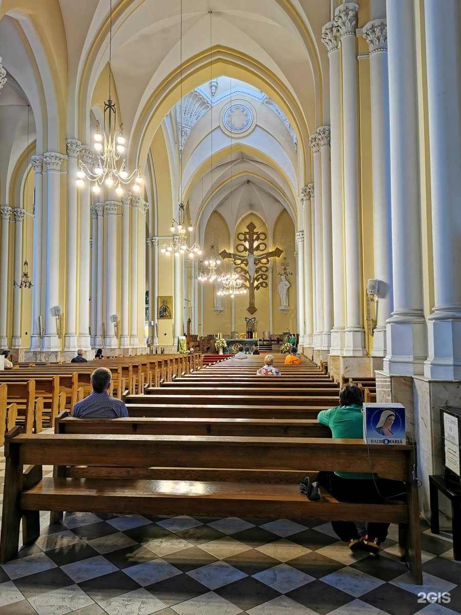 Римско католический кафедральный собор фото внутри