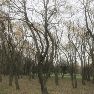 Фото от владельца Алтуфьево, парк-усадьба