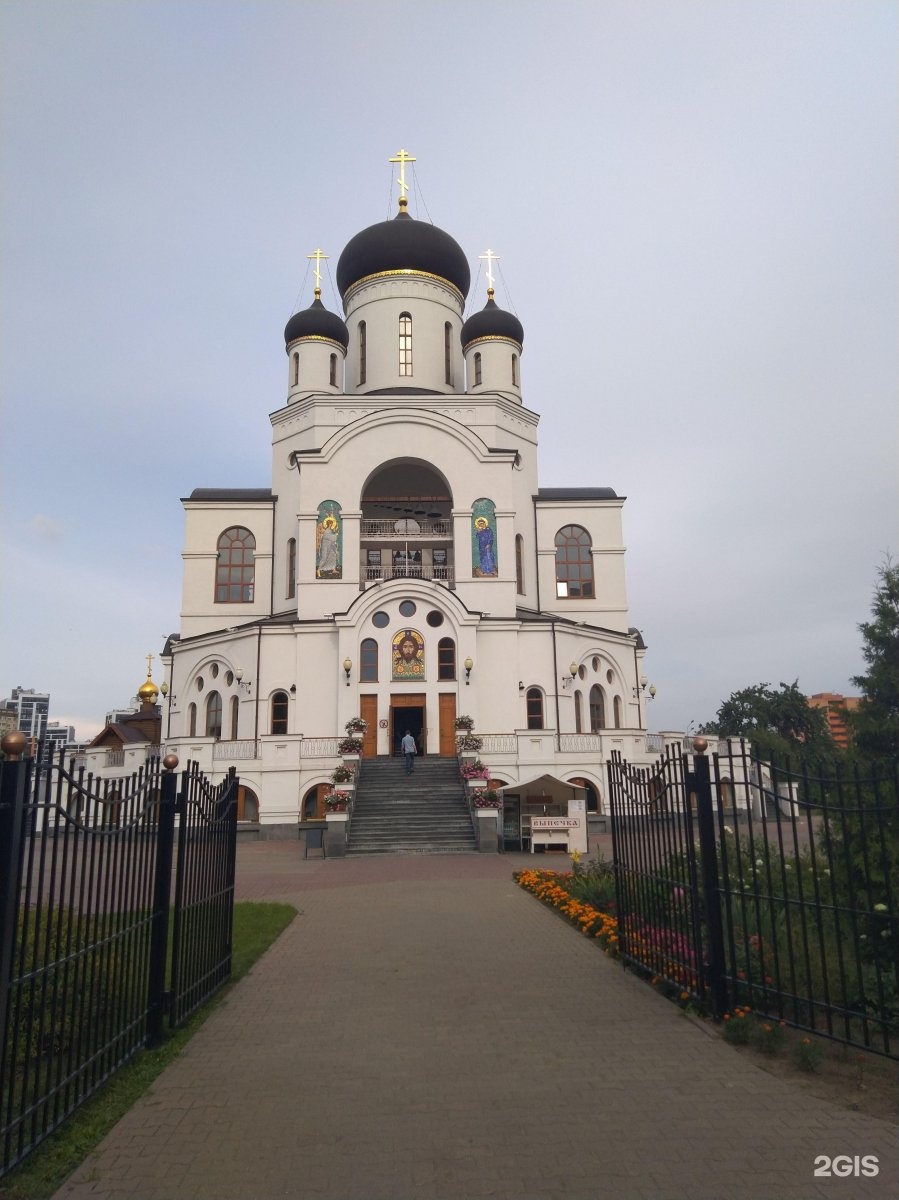 Донской храм мытищи. Храм Рождества Христова Мытищи. Храм Рождества Христова г. Мытищи. Церковь Рождества Христова г. Лиски. Ул Муравская 39 храм.