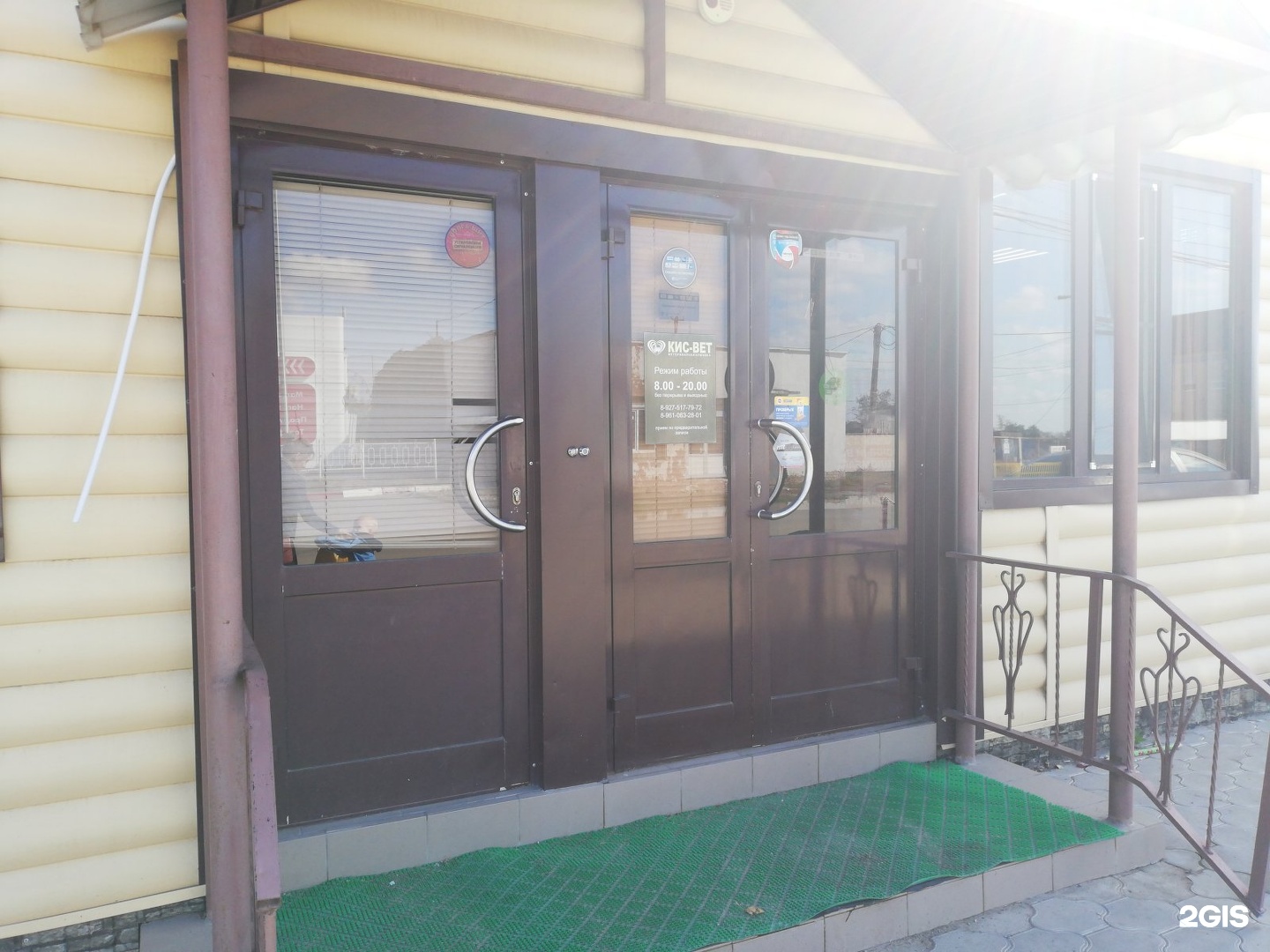 кис вет. альтернатива ветклиника железнодорожный керамическая. кис вет волжский. кис вет. сотрудники кис вет в волжском на ленина 94 в.