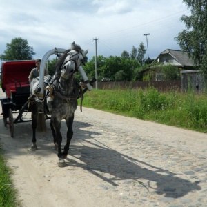 Фото от владельца Царь-Конь, конный эко-клуб