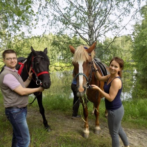 Фото от владельца Royal Horse, конный клуб