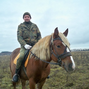 Фото от владельца Royal Horse, конный клуб