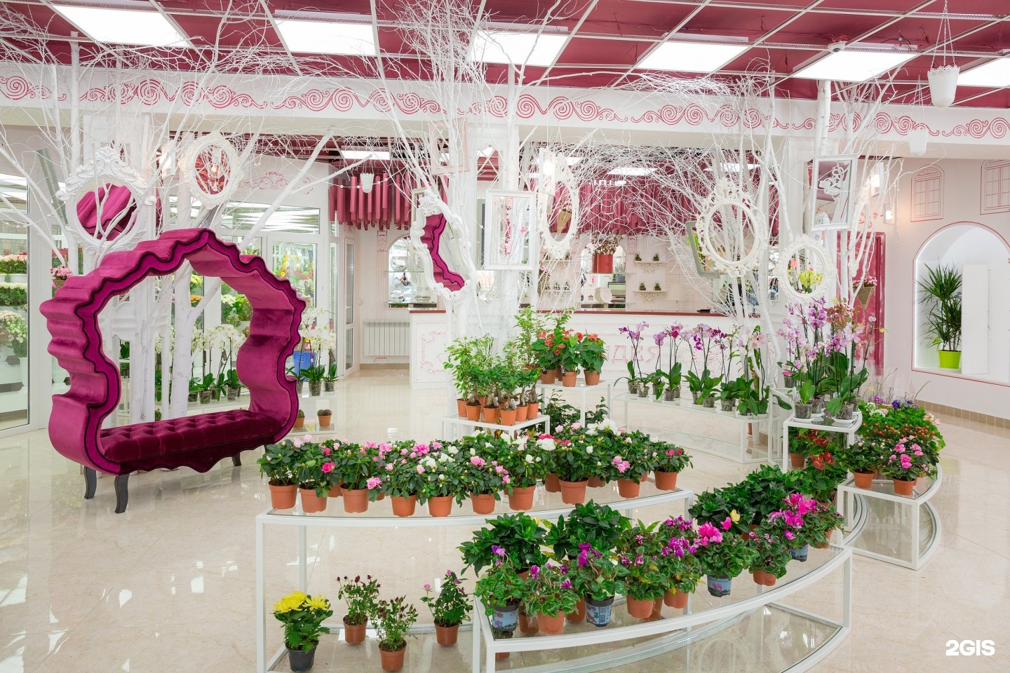 Цветочный магазин междуреченск. Цветочный салон Орхидея Хабаровск. Интерьер цветочного магазина. Проект цветочного магазина.
