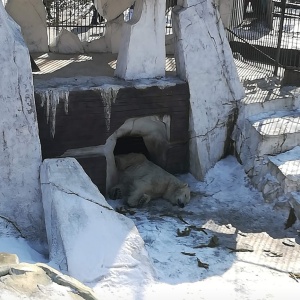 Фото от владельца Приамурский, зоосад им. В.П. Сысоева