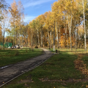 Фото от владельца Комсомольский, парк культуры и отдыха