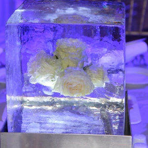 Фото от владельца Maria Crystal Ice, студия ледяных скульптур