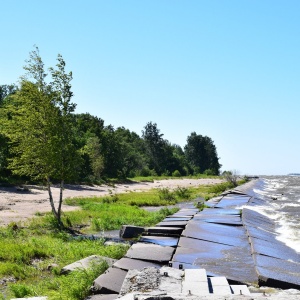 Фото от владельца Дубки, парк культуры и отдыха