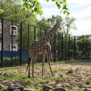 Фото от владельца Ленинградский Зоопарк