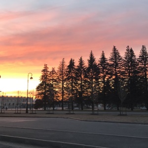 Фото от владельца Приморский парк Победы