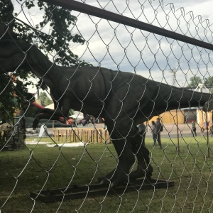 Фото от владельца Парк культуры и отдыха им. И.В. Бабушкина