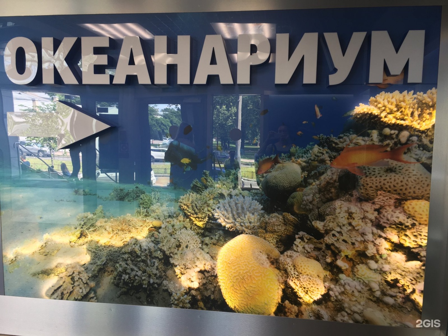 океанариум нептун в санкт петербурге