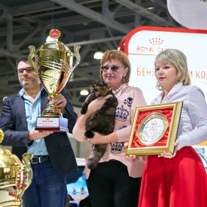 Фото от владельца Royal Canin, торговая компания