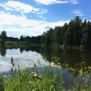 Фото от владельца Болгуры, базы отдыха