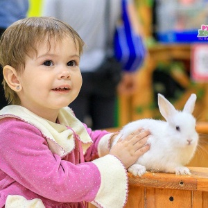 Фото от владельца Ручной zooпарк