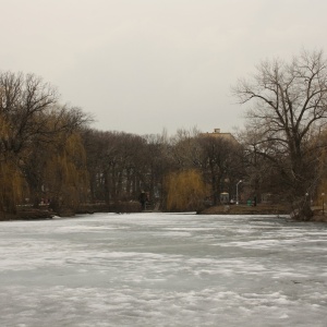 Фото от владельца Городской парк