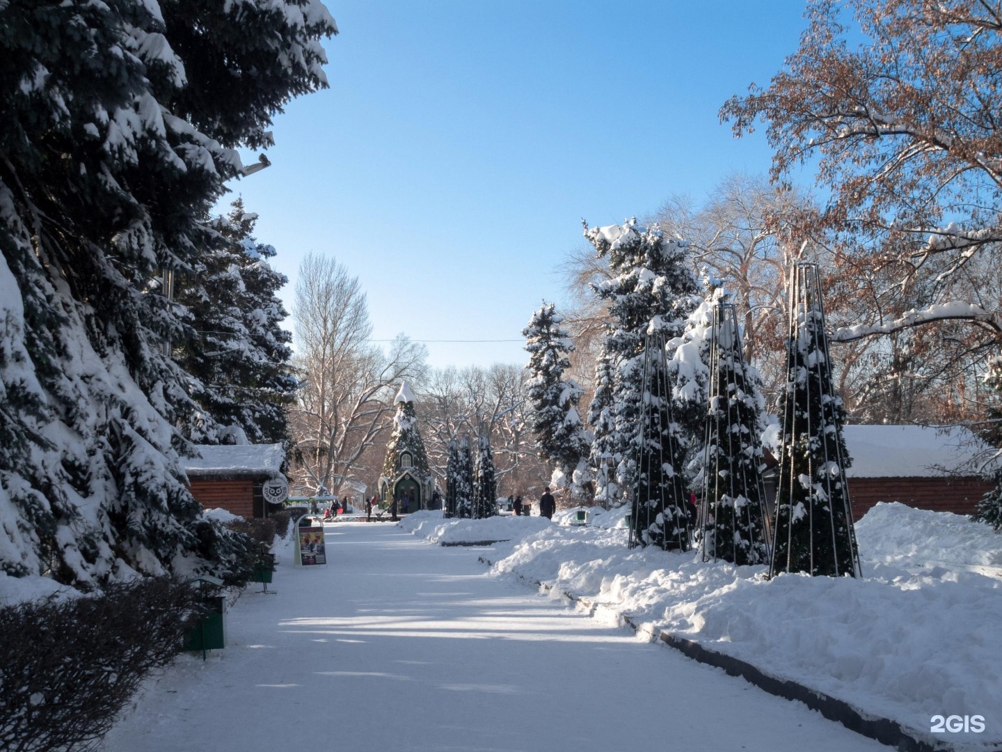 Городской парк Саратов.